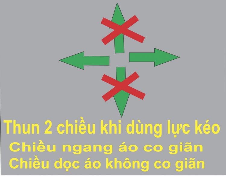 Tìm hiểu về các loại may đồng phục áo thun