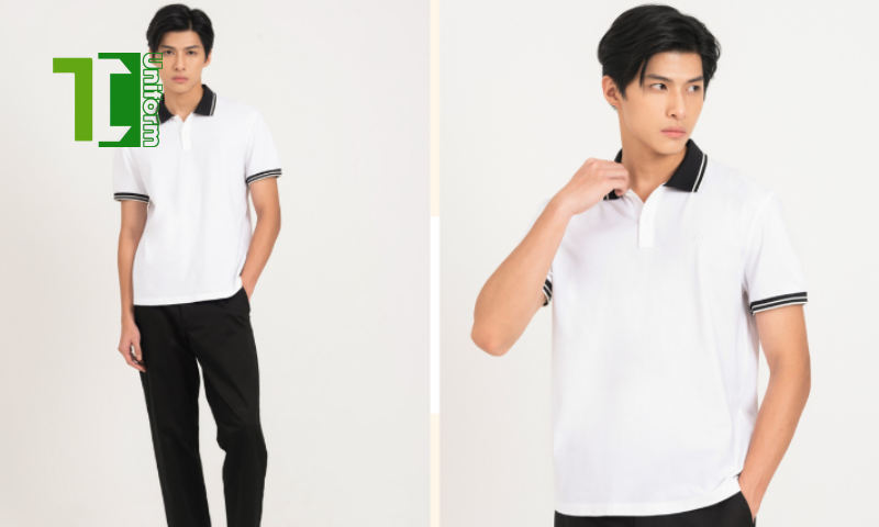 Công Ty May Đồng Phục Thành Công | Địa chỉ may áo thun có cổ làm đồng phục công ty uy tín, chất lượng Áo thun có cổ