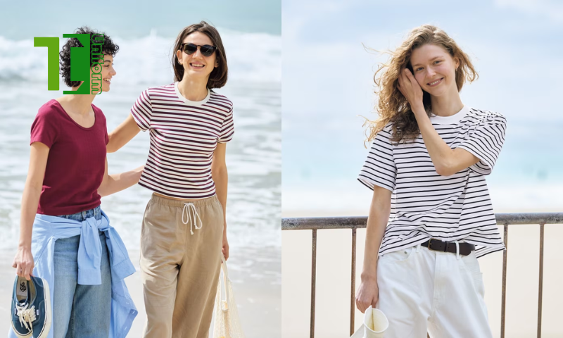 Công Ty May Đồng Phục Thành Công | 10+ mẫu các kiểu áo thun nữ đẹp làm đồng phục Các kiểu áo thun nữ đẹp